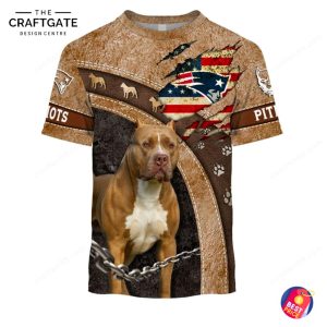 New England Patriots 2026 Pitbull Hoodie